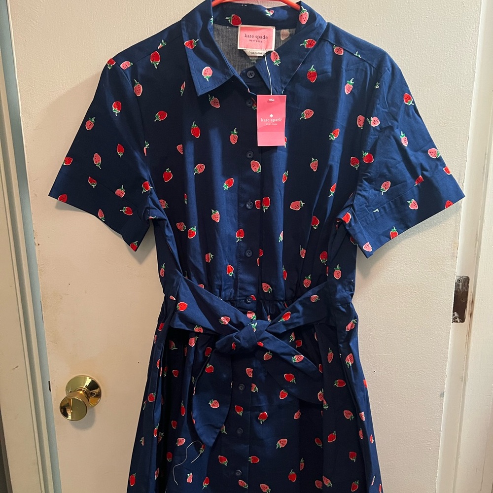Kate Spade Blue Buttoned Tie Front Dress